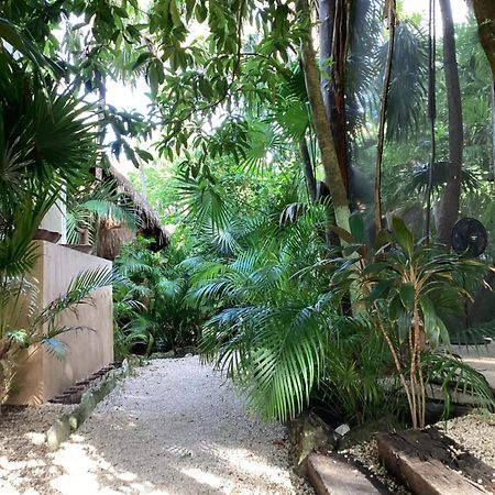 Yaxchen Tulum Cabanas & Cenote מראה חיצוני תמונה