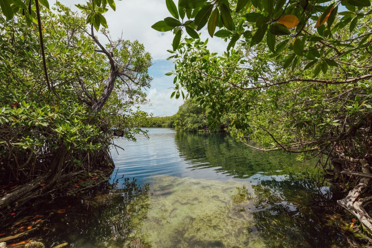 Yaxchen Tulum Cabanas & Cenote מראה חיצוני תמונה