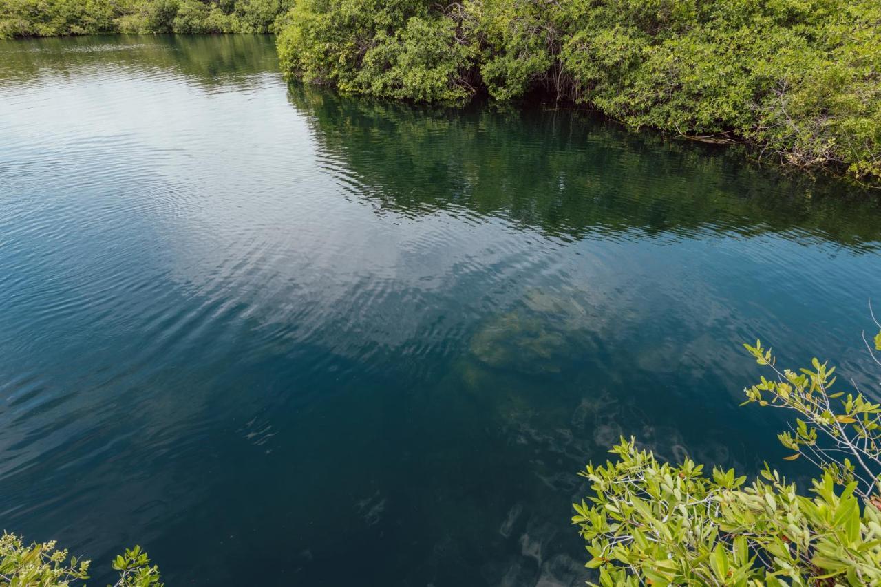 Yaxchen Tulum Cabanas & Cenote מראה חיצוני תמונה