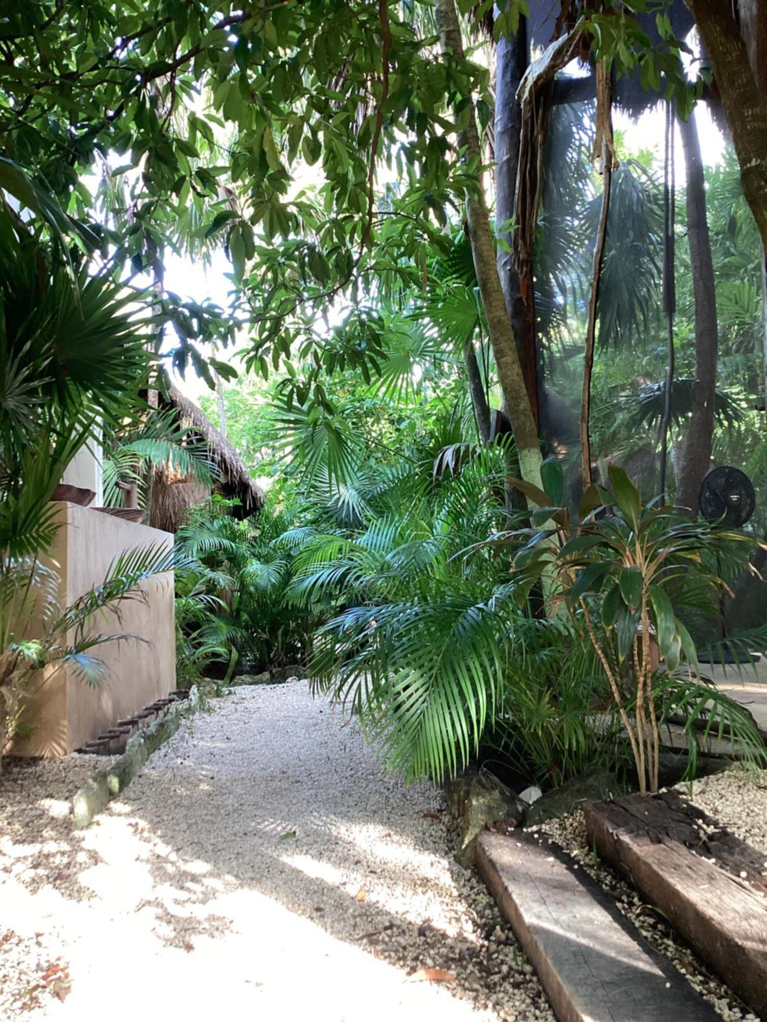 Yaxchen Tulum Cabanas & Cenote מראה חיצוני תמונה